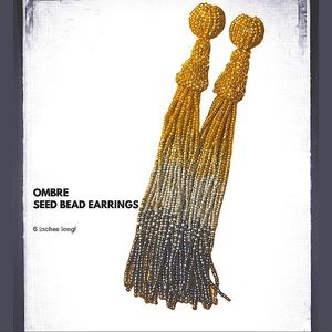 Ombre Seed Bead Drop Earrings Gold Silver